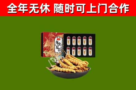 遂宁回收冬虫夏草价格